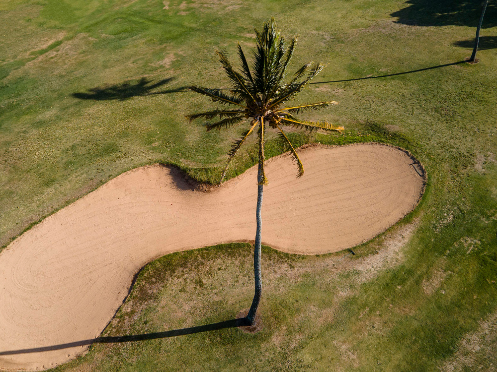 Golf Putting Lawns & Golf Course Maintenance